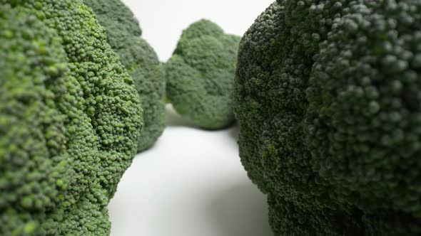 Fresh Green Broccoli 09