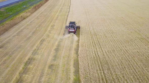 Combines Harvest Sunflower During the Day. Aerial. In Autumn