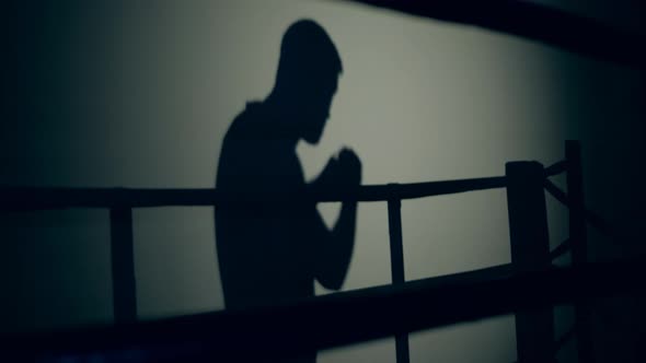 Dark Shadow of an Athlete Having a Boxing Practice