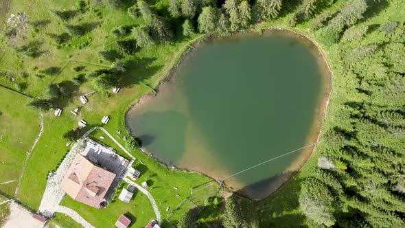 Alpin Lake in Summer Time Surrounded By Beautiful Forest Overhead Downward Aerial View