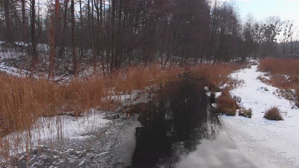 Ducks In A Frozen Pond