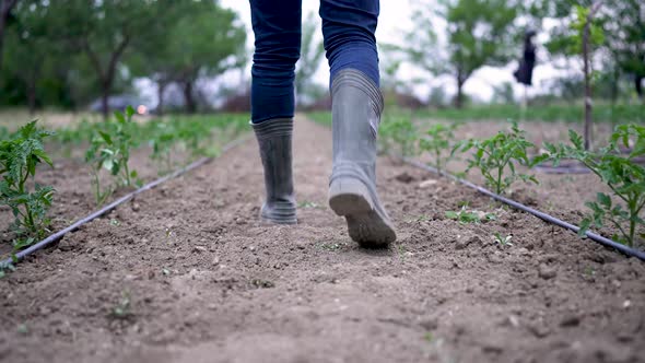 Agriculture