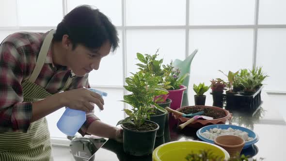 Young man planting in the flower pots on a counter at home.