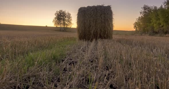 Flat Hill Meadow Timelapse at the Summer Sunrise Time