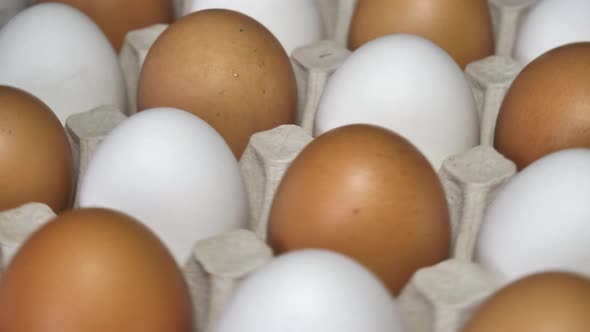 Chicken eggs rotates, top view. Raw eggs in the tray .Easter eggs background