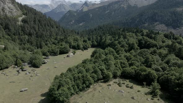 Beautiful Aerial Forwarding Shot of Lush Green Forest Over the Mountain Range in the Pyrenees in