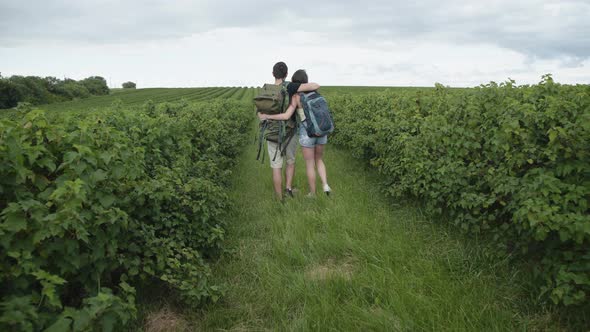 Happy Couple in Embraces Walks with Rucksacks and Watching on Currant Plantation