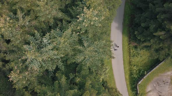 Young Couple Together Walk in the Park. Summer Weather. Shooting From the Air