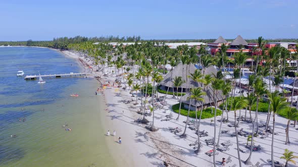 Perfect sandy beach lined with palm trees, summer day in Caribbean; aerial