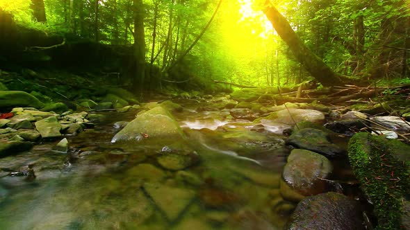 Mountain Stream