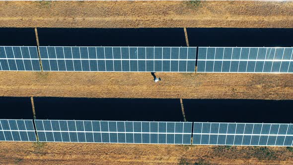 A Man Is Walking Through a Solar Electric Plant in a Top View