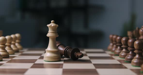 Chess game: the black king is checkmated