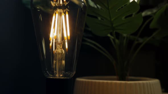 Table Lamp with an Edison Light Bulb Close-up