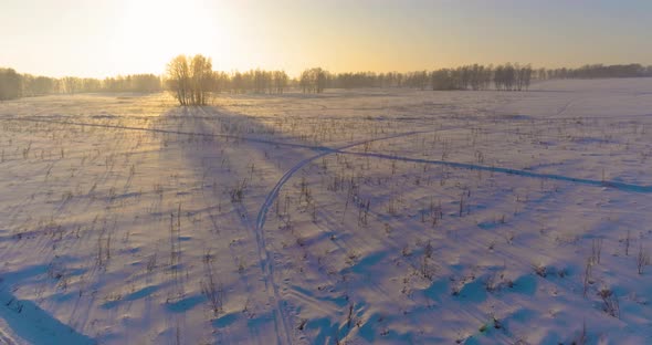 Aerial Drone View of Cold Winter Landscape with Arctic Field Trees Covered with Frost Snow and