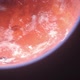 Space Background - 3D Mars Globe - VideoHive Item for Sale