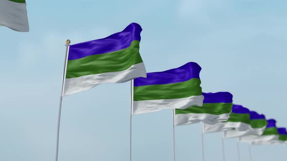 Komi Row Of Flags  alt