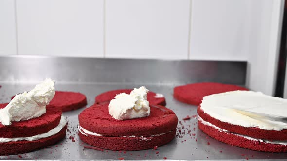 Confectioner Puts Cream To Top of Cake. Baker Smoothing Cake with Whipped Cream Icing at