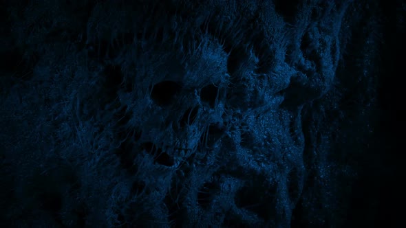 Skull In Slimy Cave Wall At Night