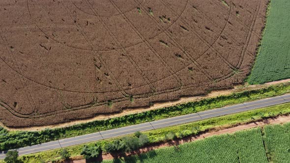 Rural road near farming landscape. Countryside rural scenery.