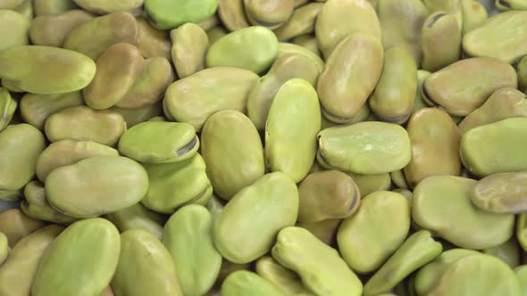 Dry broad fava beans close up. Legume family
