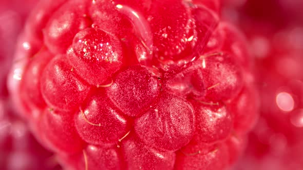 Extreme Closeup Big Drops of Transparent Pure Water on Raspberry Macro Shot