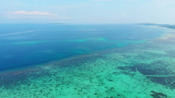Aerial drone: uncontaminated coastline tropical beach caribbean sea coral reef palm tree woodland