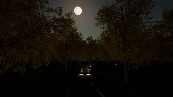 Night Traffic Moon in Forest Bright Star