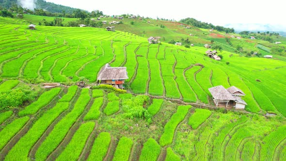 Aerial drone footage of rice terraces and farmer village at Pa pong piang