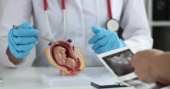 Pregnant Woman Holds Ultrasound Sonogram and Communicates with Gynecologist