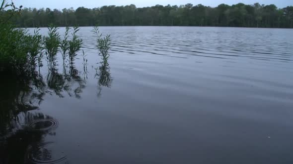 a river view in eastern north carolina