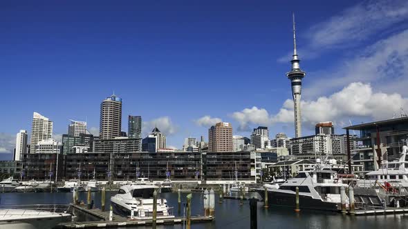 Auckland rich city centre
