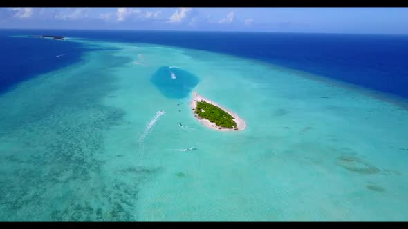 Aerial top down landscape of perfect coast beach wildlife by transparent water and white sandy backg