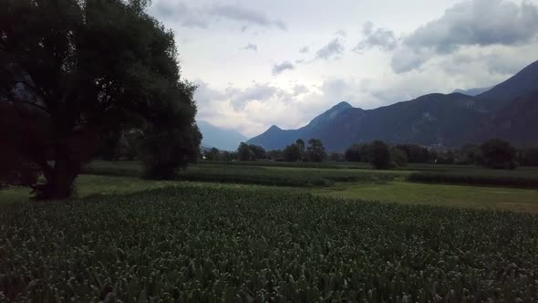 Aerial view of a farm field in Levico Terme, Italy, during sunrise with drone flying forward at low