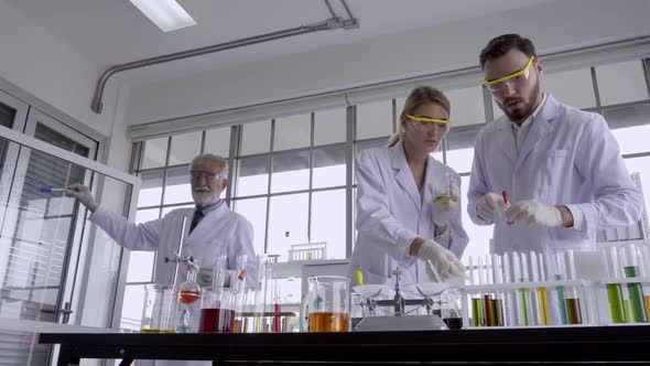 Scientist Work with Science Equipment in Laboratory