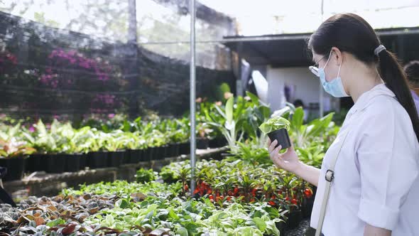 A masked asian woman examines a small potted plant in bright sunlight at a garden center nursery.