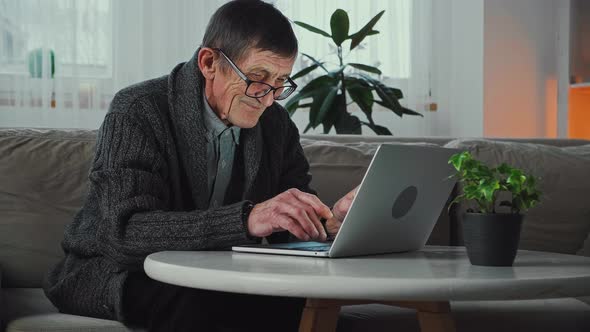 Elderly Happy Senior Man Smiling Using Laptop Sitting on Sofa at Home