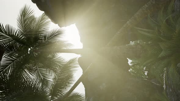 Vertical Shot of Tropical Cave at Sunset alt