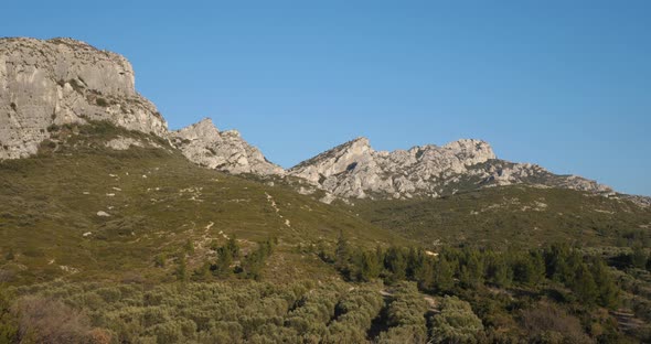 Olives groves, Les Civadieres in the Alpilles range, Provence, France