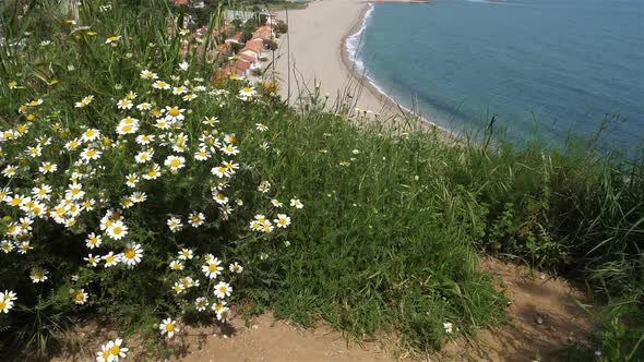 Argeles sur Mer, Plage du Racou, Pyrenées Orientales, Occitanie, France