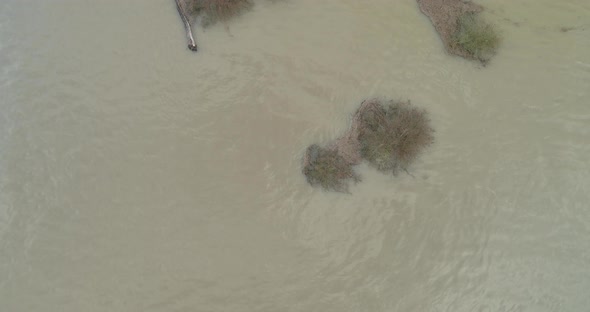 Aerial view of bushes in high water in the river Waal, Gelderland, Netherlands.