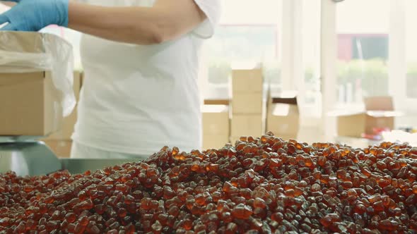 Factory Worker Packing Candies. Candy Factory.