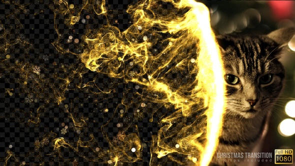 Christmas Transitions