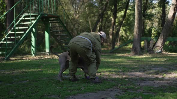 Weimaraner Attacks Purple Pet Flying Disk Leaving with Unrecognizable Caucasian Man