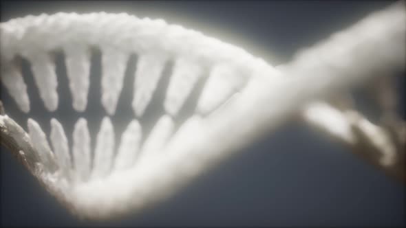 DNA Molecule on the Grey Background