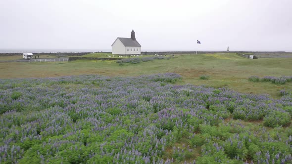 Iceland Church 4K in with flowers