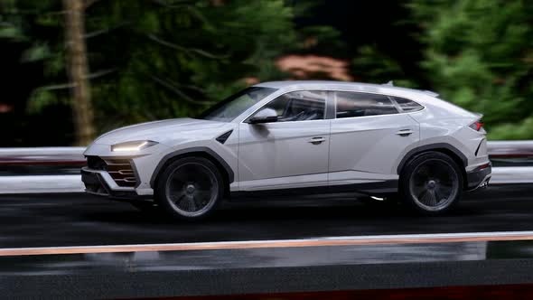 White Luxury SUV On Long Forest Road