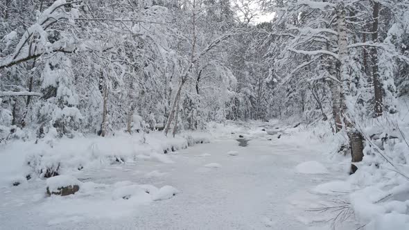 Beauty Winter Landscape