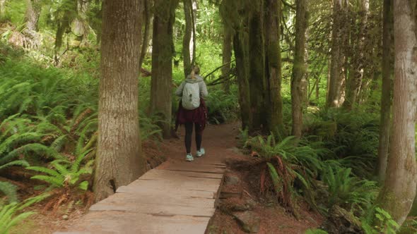 Back View of Independent Woman Walking By Trail in Dense Green Moss Rainforest
