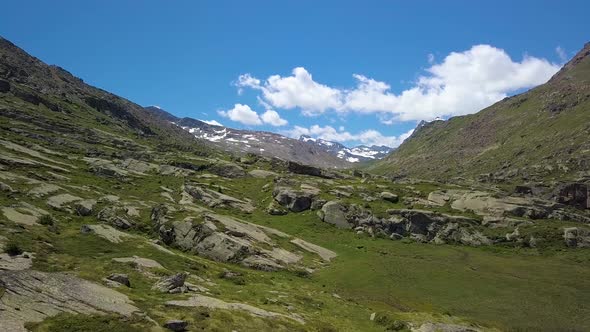 Flying Over the Alpine Mountains