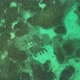 Ocean Coastline and Barrier Reef Aerial View - VideoHive Item for Sale